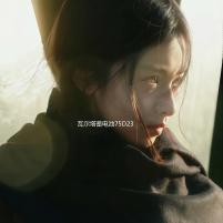 瓦尔塔蓄电池75D23L/65AH/550A/奇骏天籁/翼神雅阁森林人汽车电瓶