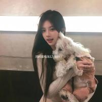 风帆蓄电池12V68AH适用起亚k5汉兰达凯美瑞马自达6奔腾电瓶80D26L