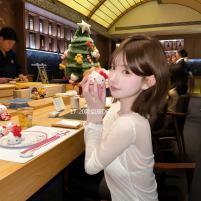 17-20款启辰D60中网外观专用改装饰条前脸汽车用品配件防絮防虫网